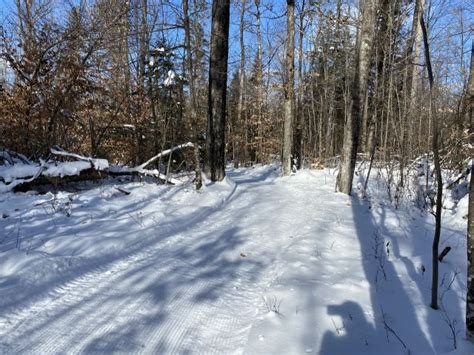 Photo Album Trail Report Mccomb Nordic Ski Trails