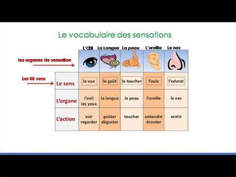 Le Vocabulaire Des Sensations YouTube