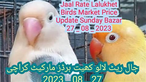 Jaal Rate Lalukhet Birds Market Latest Prices Update Sunday Bazar 27