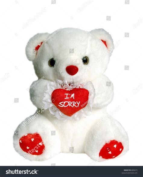 White Teddy Bear Holding Heart Pillow That Says Im Sorry Stock Photo