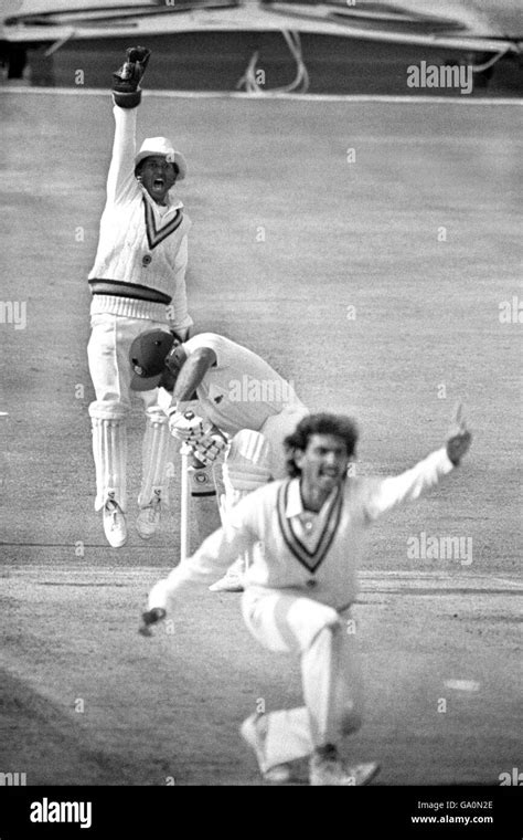 An unsuccessful appeal against England captain Mike Gatting during his ...