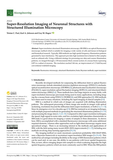 Pdf Super Resolution Imaging Of Neuronal Structures With Structured