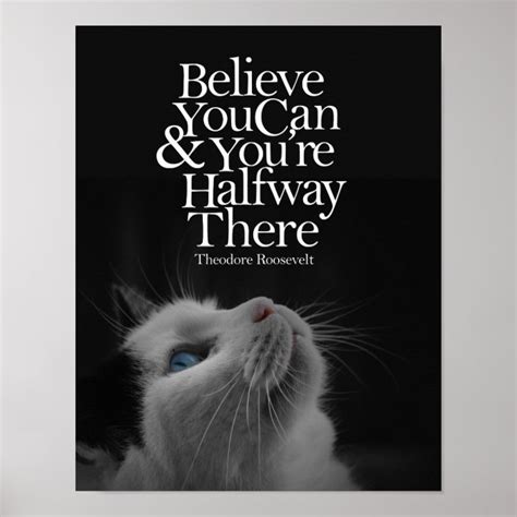 Believe You Can Beautiful Cat Motivational Quote Poster Au