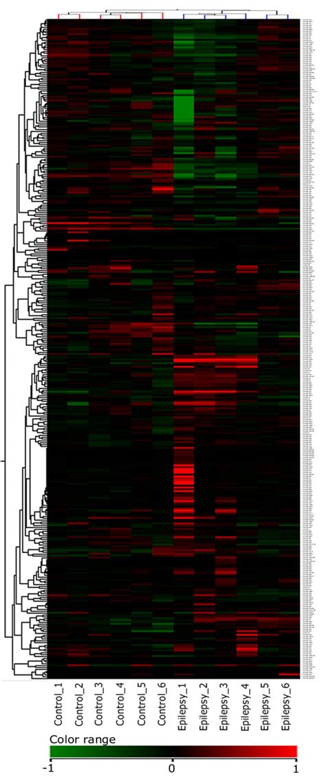 The Heatmap Of All Rat Hippocampal TLE MiRNAs Rows Represent