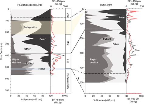 Paleoecological Composition Of Benthic Calcareous Foraminiferal