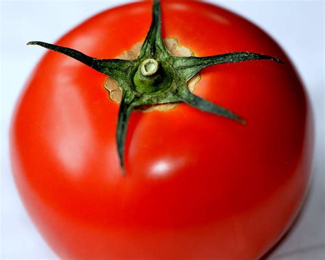 Flying Tomato Photograph By Tanya Tanski Fine Art America