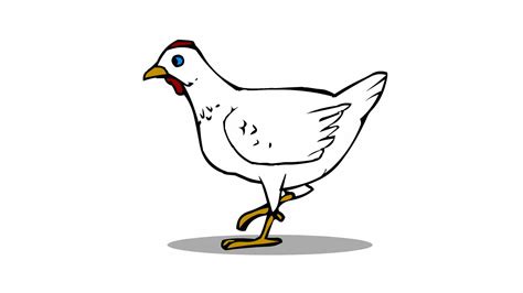 Walking Chicken On Green Screen Cartoon Animated Illustration Of