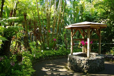 Hawaii Tropical Botanical Garden - Hawaii on a Map