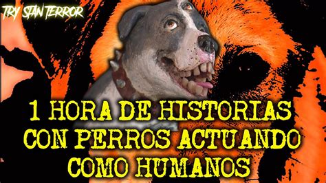 Hora De Historias Con Perros Actuando Como Humanos Youtube