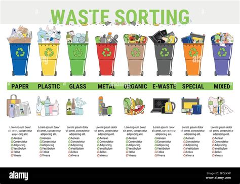 Waste Infographic Sorting Garbage Segregation And Recycling