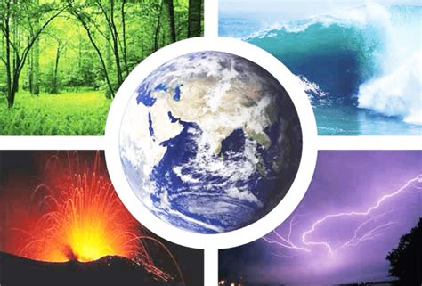 Branches Of Earth Science Printable Game