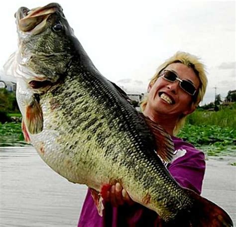 Top 101 Pictures Photos Of Large Mouth Bass Stunning