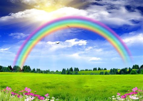 Die Cuttin Divas: Challenge #308 ~ Rainbows