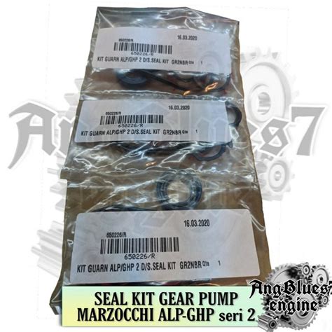 Jual Seal Kit Gear Pump Marzocchi Alp Ghp Seri Di Lapak Angblues