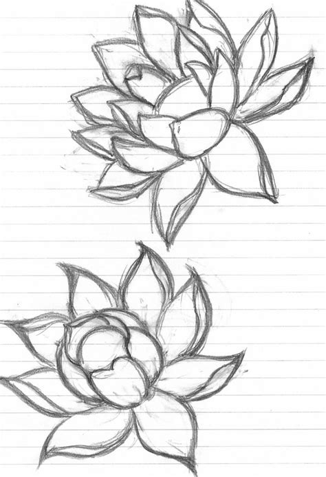 Lotus Flower Sketch Images At Explore Collection