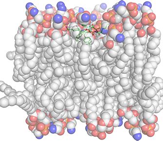 Improved Anticancer Potency By Headtotail Cyclization Of Short