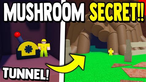 New Mushroom Secret Build A Boat For Treasure Roblox Youtube