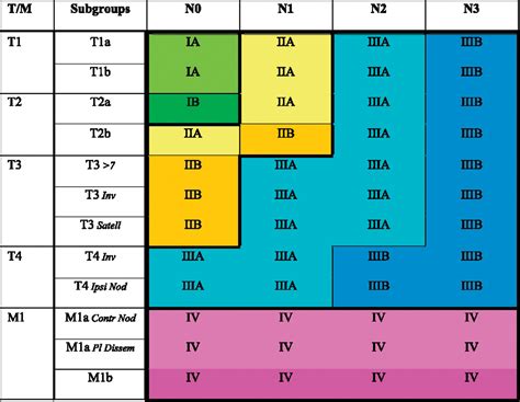 Details and Difficulties Regarding the New Lung Cancer Staging System ...