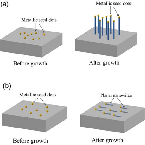 Schematic Diagrams Illustrating Vls Nanowire Growth A Vertical Vls Download Scientific