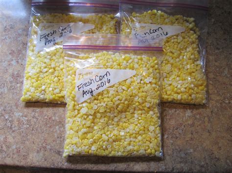 Freezing Fresh Local Corn