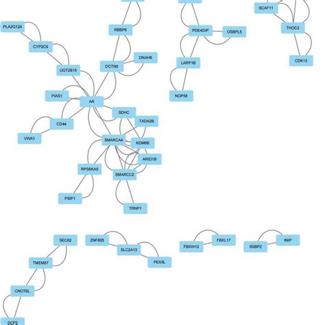 Protein Protein Interaction Ppi Network Constructed From The