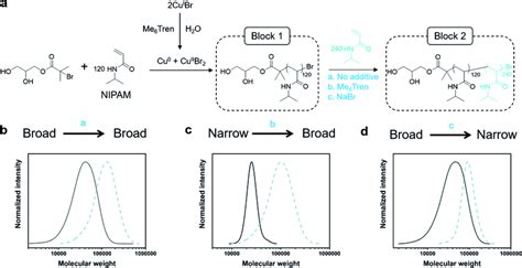 A Synthesis Of One Pot Pnipam B Pnipam With Individually Tunable