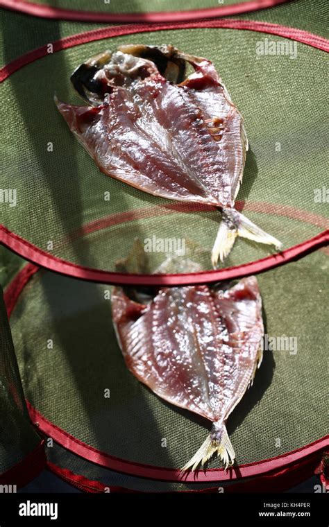Making Japanese Dried Fish Sakana No Himono Japanese Food Stock Photo