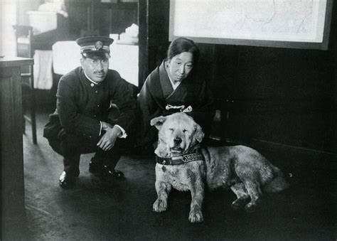 Caninos En Acci N Los Perros Que Hicieron Historia