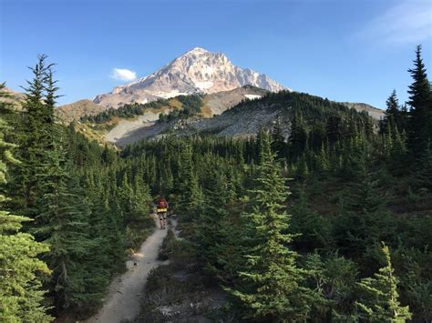 Timberline Trail, Mt. Hood : backpacking