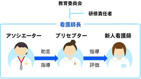 新人教育について 教育体制を知る おゆみの中央病院 看護部