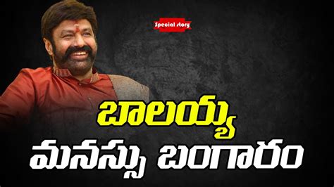 బాలయ్య మనస్సు బంగారం Special Story On Nandamuri Balakrishna Basavatarakam Cancer Hospital