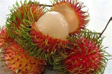 8 Rambutan Nutrition Facts And Health Benefits - Med Scoop Daily