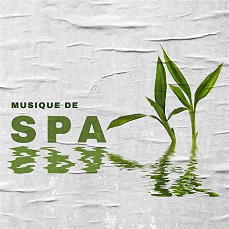 Amazon Music Oasis De Musique Zen Spa Zen M Ditation Ambiance Nature