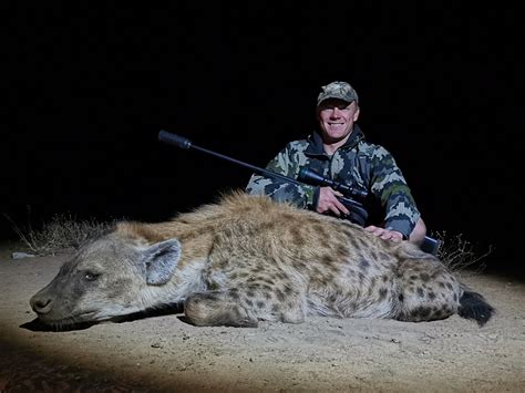 Hunting The Spotted Hyena Page 2
