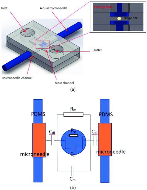 A 3d Schematic Diagram Of The Microfluidic Device Structure