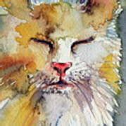 Sleeping Cat Painting By Kovacs Anna Brigitta Fine Art America