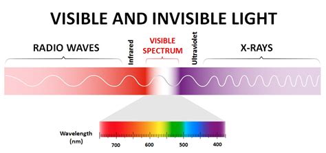 Infrared Visible Light And Soft Ultraviolet Radiation Introduction