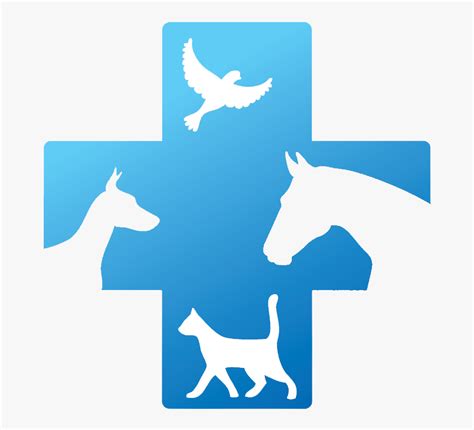 Veterinary Doctor Logo Transparent Cartoons Veterinary Doctor Hd