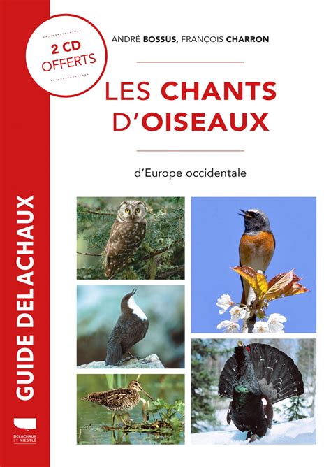 Les Chants D Oiseaux D Europe Occidentale BirdLife Schweiz Suisse