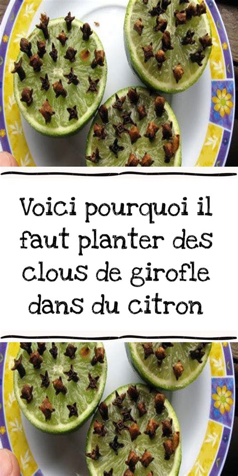 Voici Pourquoi Il Faut Planter Des Clous De Girofle Dans Du Citron