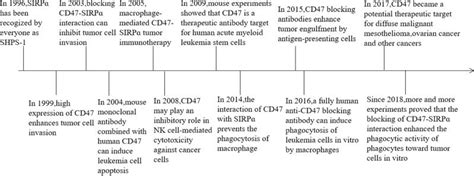 A CD47 SIRPɑ interaction blocks macrophage phagocytosis of cancer