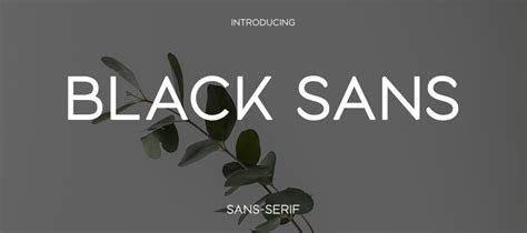 Black Sans Font Family Download | Free Font.Download