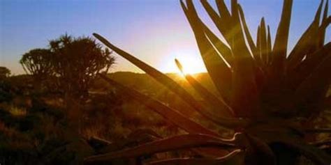 Stadiums - Cricket Namibia