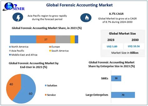 Forensic Accounting Market Industry Analysis And Forecast 2030