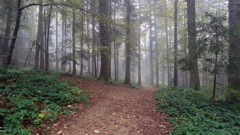 From Zagreb To Paradise Hike Amazing Medvednica Mountain