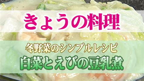 【きょうの料理】「白菜とえびの豆乳煮」の作り方｜冬野菜のシンプルレシピ 知っ得レシピ