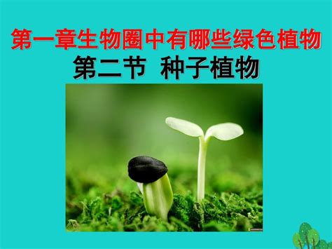 七年级生物上册 第三单元 12 种子植物课件 新版新人教版word文档在线阅读与下载无忧文档