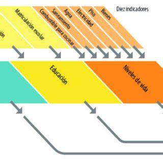 Componentes Espec Ficos Del Ndice De Pobreza Multidimensional Ipm