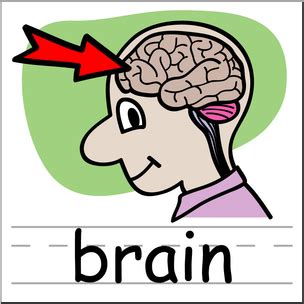 Clip Art Basic Words Brain Color Labeled I Abcteach