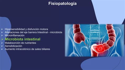 Síndrome De Intestino Irritable Sii Ppt Descarga Gratuita